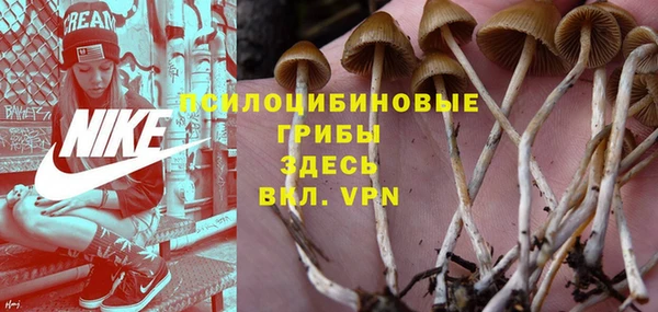 mix Абаза